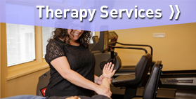 Physical Therapist - Therapy Services